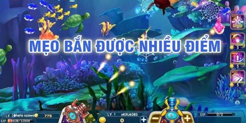 79king 4 đá gà