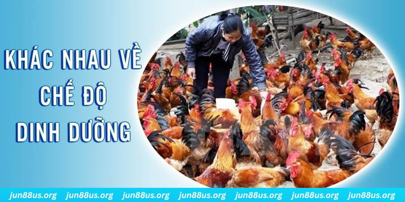 79king 4 xổ số thứ sáu hàng tuần