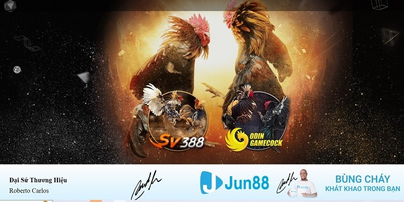 79king 4 xổ số miền nam hàng tuần