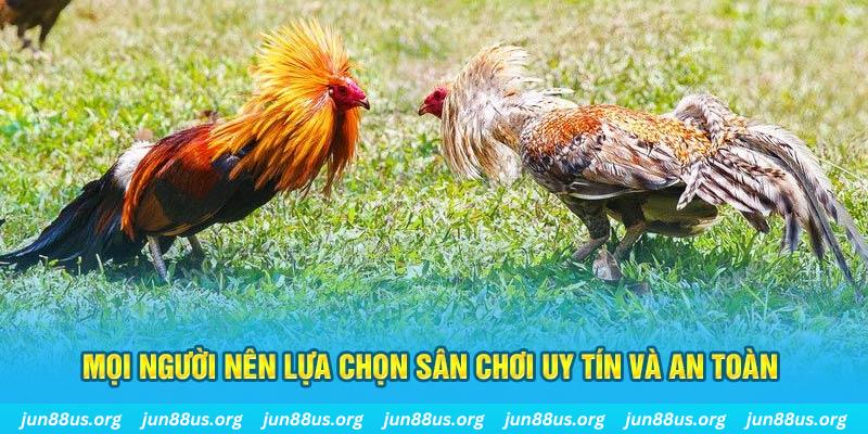 79king 4 hơn cả bạn bè