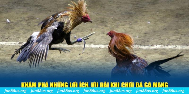79king 4 Tài Xỉu 2