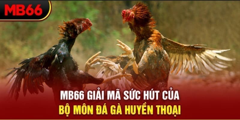 79king 4 long bảo trong baccarat là gì