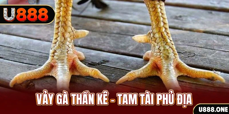 79king 4 xổ số 30 ngày