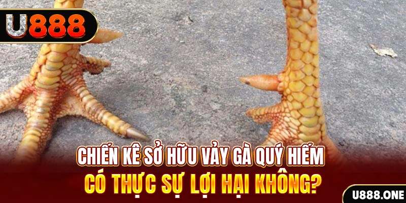 79king 4 game cá cược máy bay