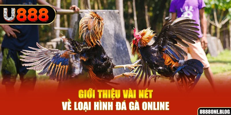 79king 4 xổ số miền nam thứ ba