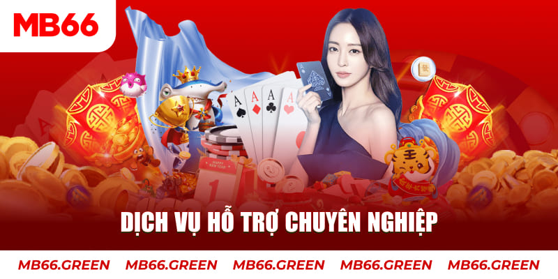 79king 4 gà chọi cậu thanh