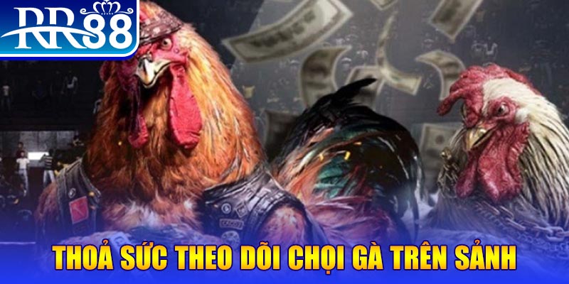 79king 4 NE Điện Tử