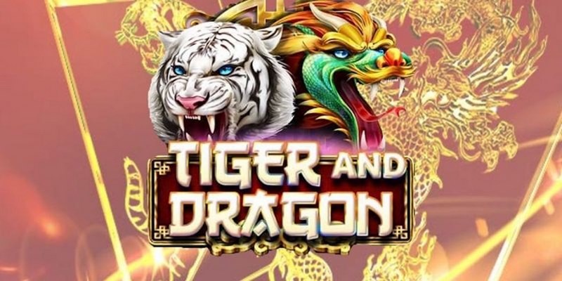 79king 4 cá cược tiếng anh là gì