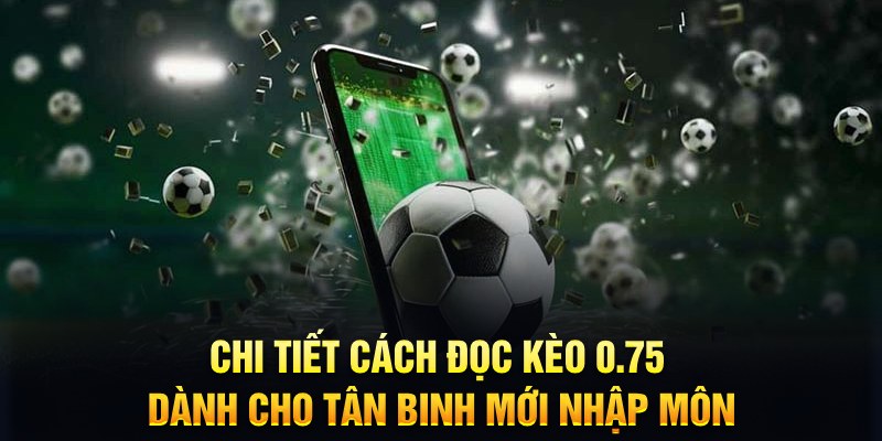 79king 4 sổ xô miên nam hôm nay