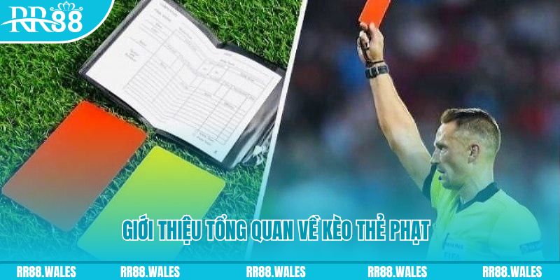 79king 4 đá gà trực tiếp c1