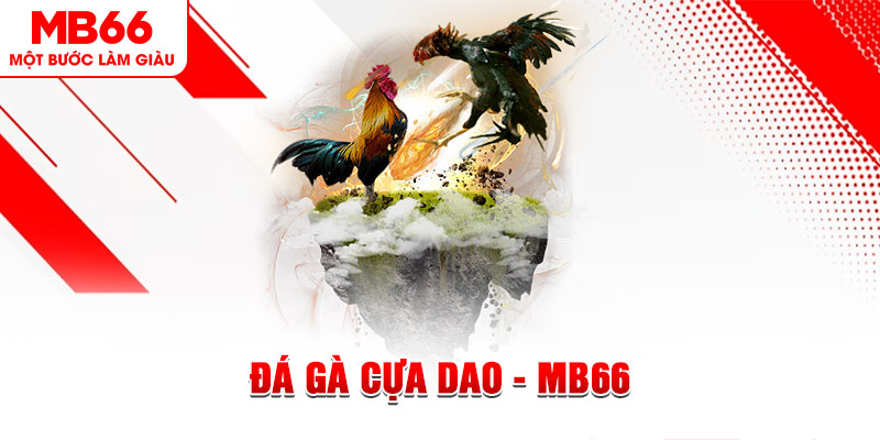 79king 4 xổ số miền bắc thứ năm hàng tuần